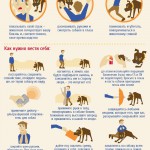 Как правильно отразить нападение собаки
